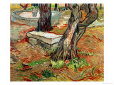 The Bench at Saint-Remy  c1889