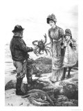 Beauties of the Deep  1882