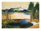 Lake in the Woods