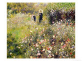 Summer Landscape