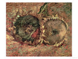 Two Cut Sunflowers  c1887
