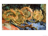 Four Cut Sunflowers  c1887