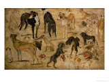 Study of Hounds  1616