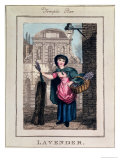 Lavender  Temple Bar  from "Cries of London"  Pub by Richard Phillips 1804