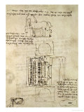 Sketch of a Horse and Various Other Diagrams