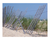 Mangled Fence