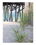 Sand  Grass  and Pier