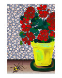 Geranium