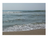 Carolina Beach