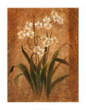 Orchid Study