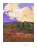 Mountain Meadow I