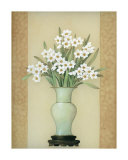 Narcissus