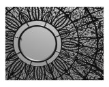 Dome at the Sunken Gardens