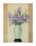 Irises