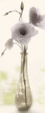 Charming Lisianthus