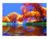 My Fall