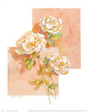 Rose II