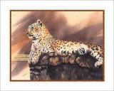 Lounging Leopard
