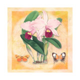 Asian Botanical I