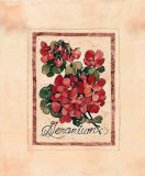 Vintage Geranium