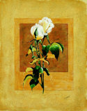 Long Stem Double