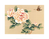 Camelia Branch