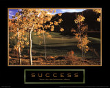 Success: Golf II