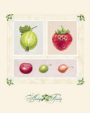Antique Fruits