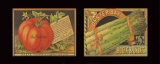 Vegetable Duet