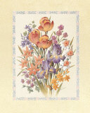 Iris and Crocus