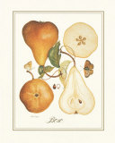Bosc