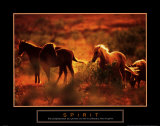 Spirit: Horses
