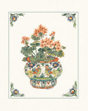Geraniums