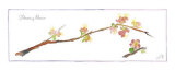 Quince Branch