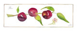 Plum Branch
