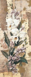 White Orchid
