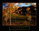 Success: Golf