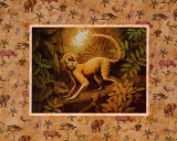 Safari  Monkey