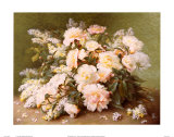 Peonies and Lilacs