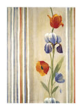 Poppy Delight II