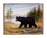Majestic Bear