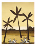 Mexican Desert II