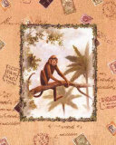 Bermuda Paradise II
