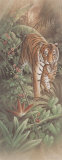 Tiger with Cubs