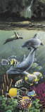 Underwater Splendor