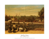 Picking Cotton