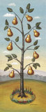 Pear Topiary