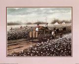 Cotton Pickers