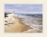 Deserted Beach with Seagulls