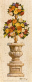 Rose Topiary